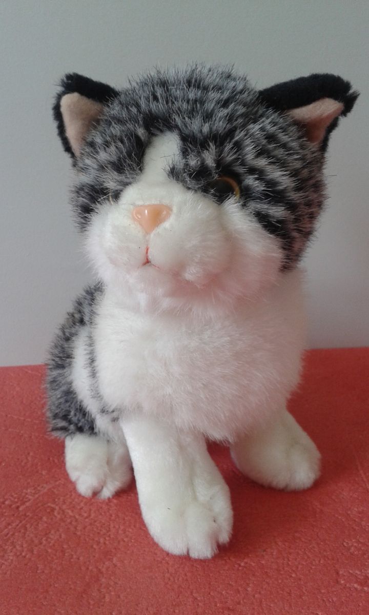 Peluche chat 2025 tricolore