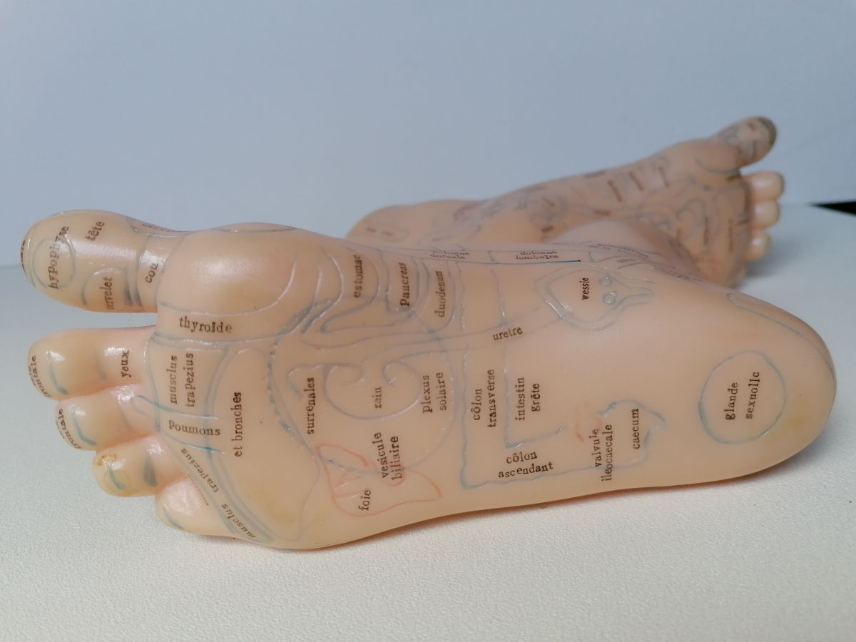 Modèle d'acupuncture du pied, modèle de réflexologie plantaire bon