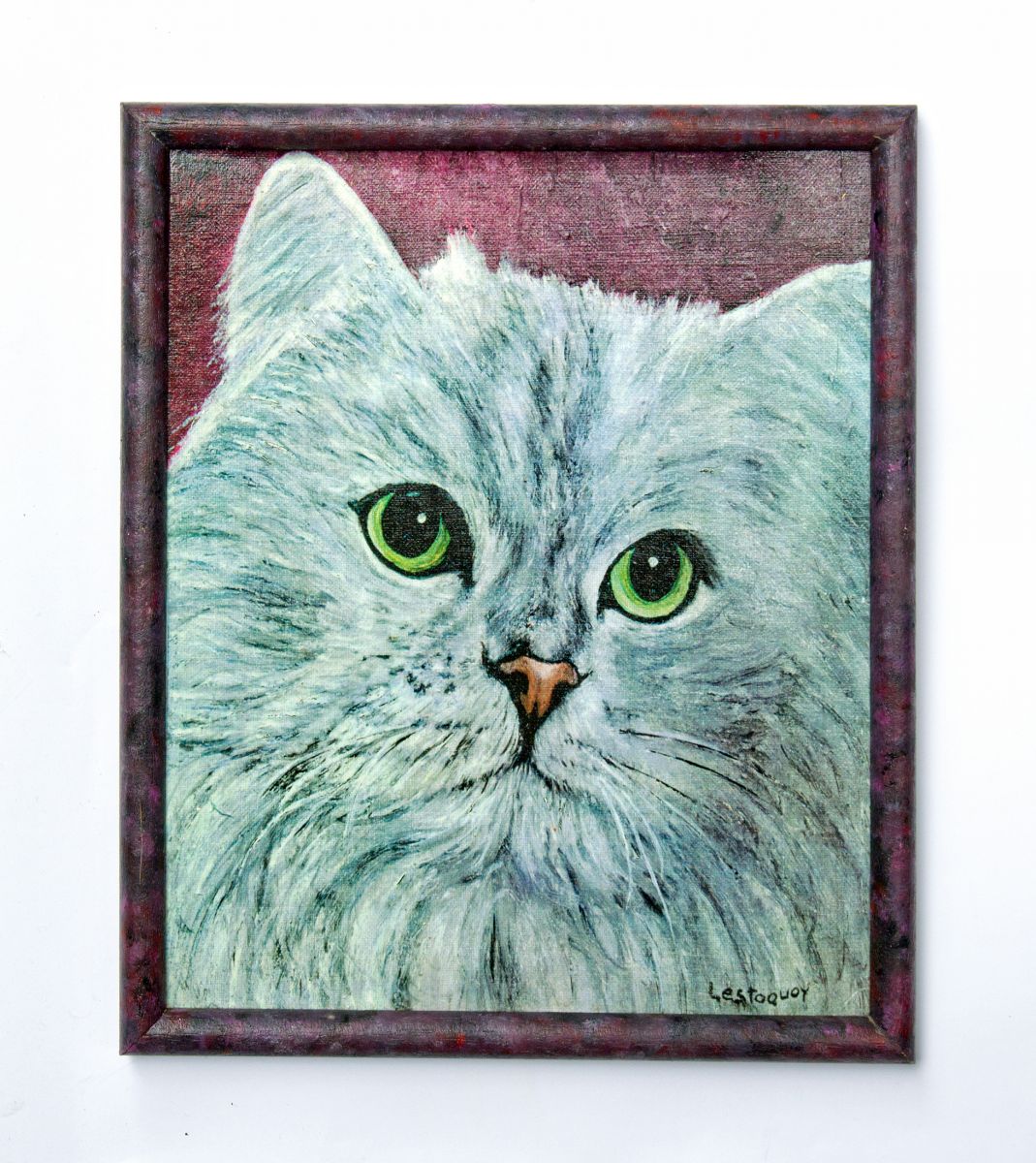 Portrait De Chat Persan Angora Blanc Chats Poils Longs Luckyfind
