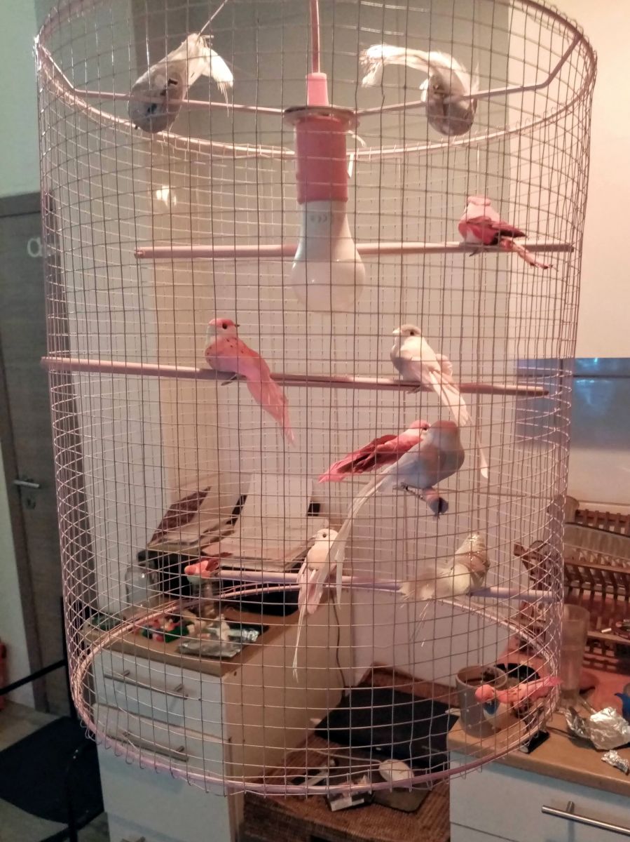 Plafonnier Re Cage D Oiseaux