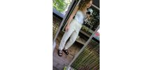 pantalon taille haute laine t36