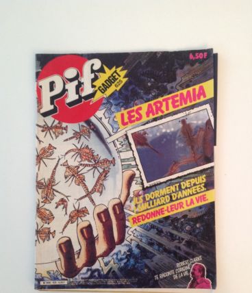 Revue ancienne à l'unité pour enfant Pif Gadget