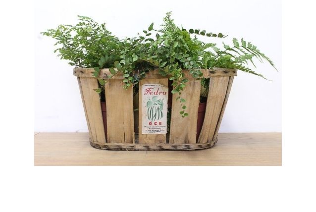 Cagette en bois BASSET