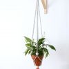 Suspension plante traphilo pompon orange