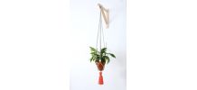 Suspension plante traphilo pompon orange