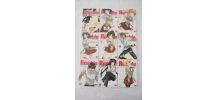 Manga School Rumble (17 premiers tomes)