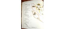 Collection HACHETTE "Les Animaux" - 8 Tomes