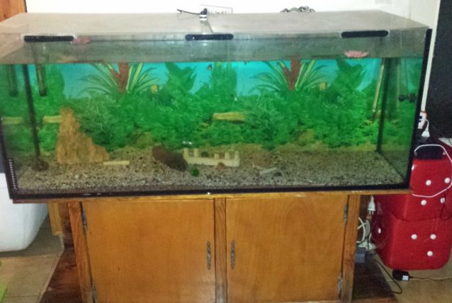 Aquarium 500litres 