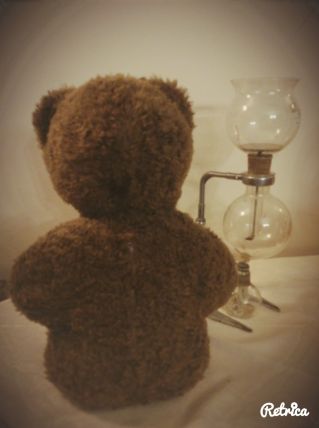 Nounours Bonne nuit les petits !
