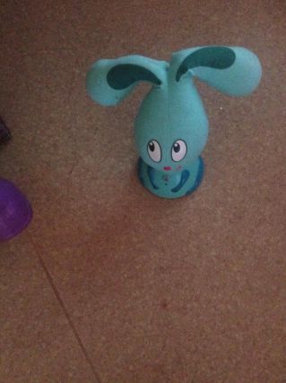 escargot, lapin