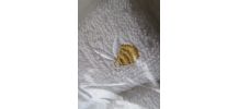 Ensemble cadeau Serviette et gant petite abeille jaune et or