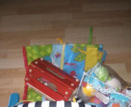 Tapis d'éveil fisher price + jouets d'éveil
