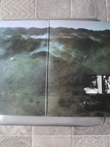 vinyle Stingray de Joe Cocker