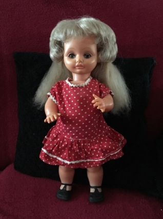 Bella Nova de 1967 avec ses accessoires