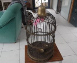 cage a oiseaux