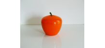 Bac à glaçon pomme