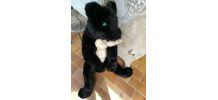 Peluche Panthère XXL