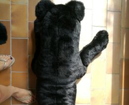 Peluche Panthère XXL