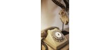 Téléphone à cadran vintage de 1983