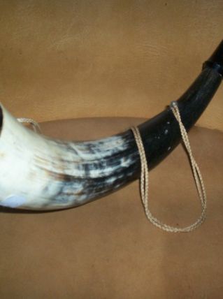 VERITABLE COR DE CHASSE DE BERGER DE MONTAGNE 