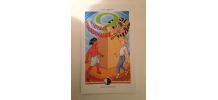 LIVRE UN VOYAGE EXTRAORDINAIRE