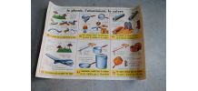 Affiche scolaire ,éditions ROSSIGNOL Le fer la font l'acier / Le plomb l'aluminium le cuivre