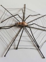araignée métal et cuivre déco