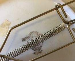 Assiettes faïence 1900 Chérubins, anges Britannia 
