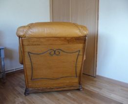 OPPORTUNITÉ 2 FAUTEUILS CUIR 