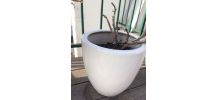 3 petits pots de fleurs en céramique blanche