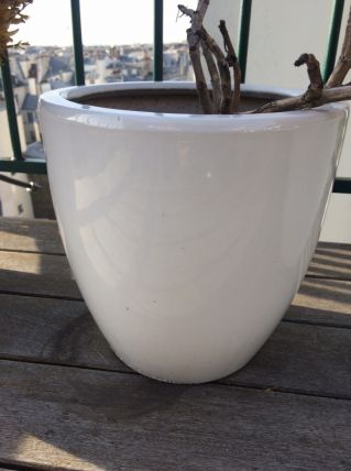 3 petits pots de fleurs en céramique blanche