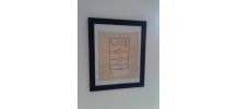 Broderie planche naturaliste Sur toile de Lin