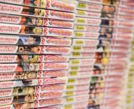 Mangas Naruto Tomes 1-64 + T.66