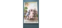 Lot de 15 cartes postales anciennes