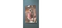 Lot de 15 cartes postales anciennes