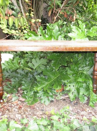 Table basse, 2 piétements