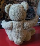 Ourson en peluche
