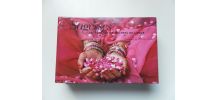 Livre Saagesse