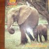 Puzzle Nature