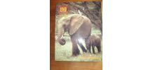 Puzzle Nature