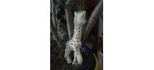 Sophie la girafe