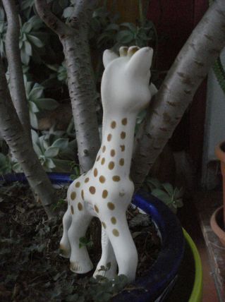 Sophie la girafe