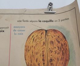 Affiche vintage mdi
