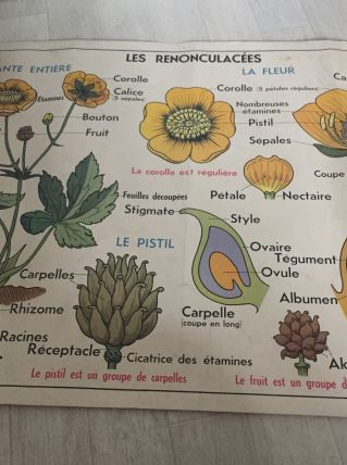 Affiche vintage MDI 