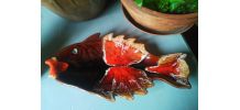 Céramique style Vallauris en forme de poisson