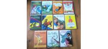 11 volumes de "nouvelle bibliothèque rose" et "bibliothèque rose" -  années 60 /70 