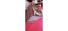 LOT COMPLET REVUE "ASTONISHING X-MEN" PANINI COMICS FRANCE