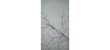 Lampadaire arbre