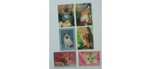 Lot de cartes postales chats