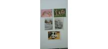 Lot de cartes postales chats